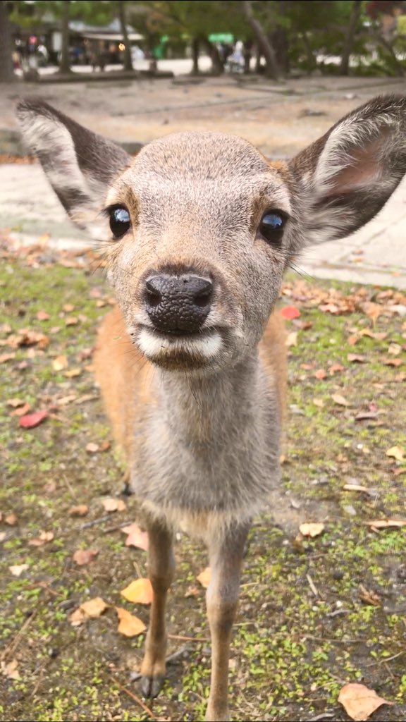 0g8ohmipn0 Uym 0g8ohmipn0 Uym