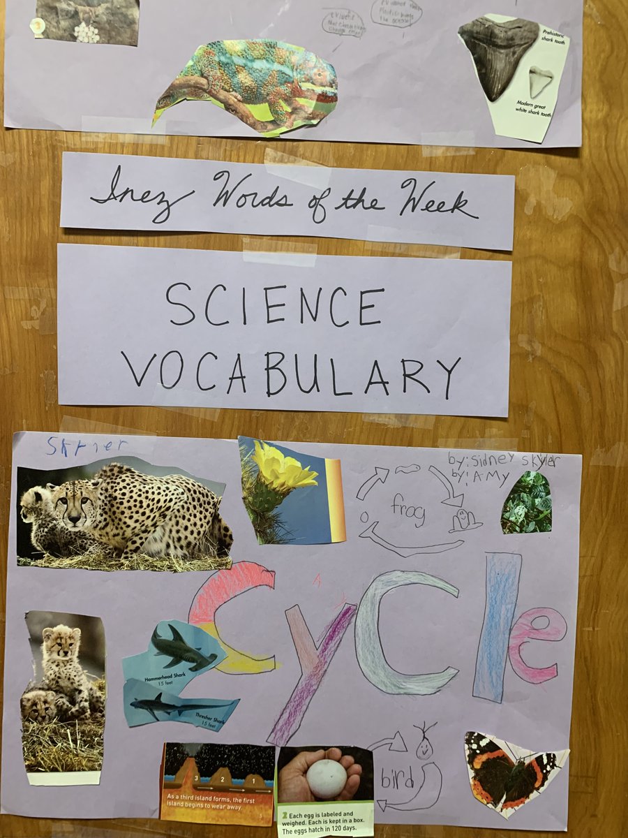 IESRockets's tweet photo. Word of the Week in action in Ms. Lilli and Ms. Gipson's 3rd grade classes.  #makinglearningmeaningful #90dayplan @ABQschools @APSLZ4 @chris_zone4 https://t.co/cGBDosH2ur