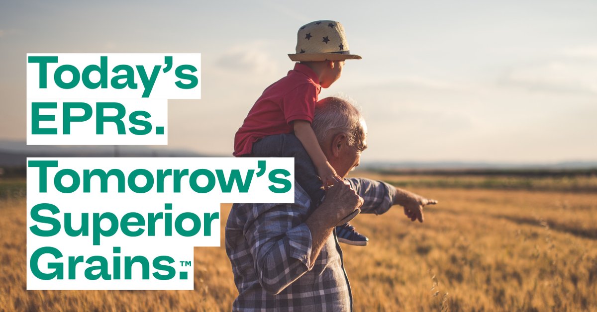 A lot of time and energy goes into a  #crop, make sure it’s one worth growing. #EPRvarieties fund research to support #AussieFarmers now and into the future. 
bit.ly/EPRVarieties
#ozfarming #AusAg #Grains