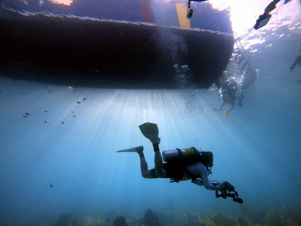 MGeneproject's tweet photo. Diving being used as a vital tool for marine science #conservation https://t.co/O8E1rcL8S7