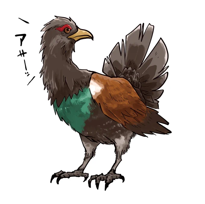 おはようございまーす 