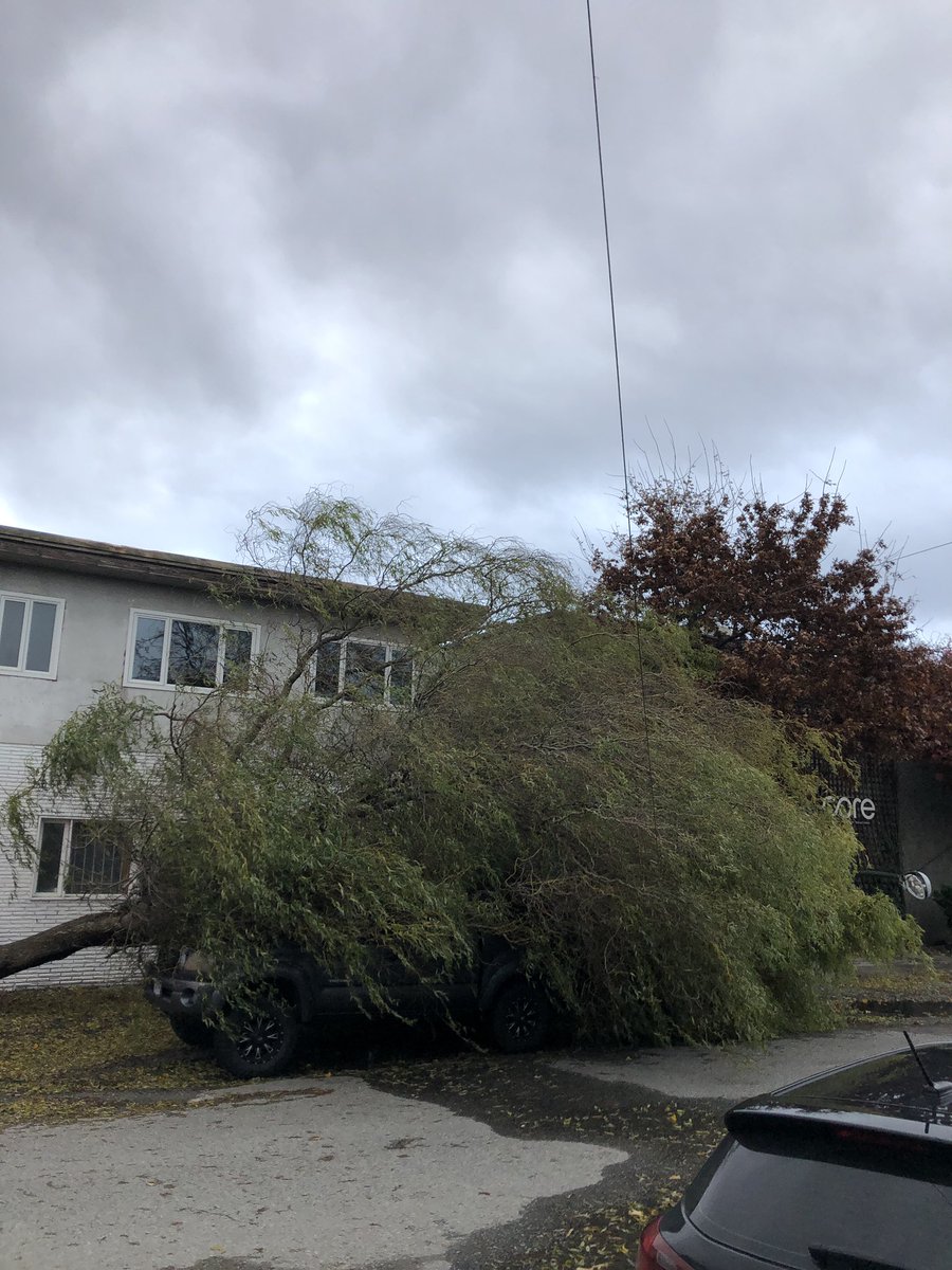Heard a bang earlier. Possibly this. #BCStorm