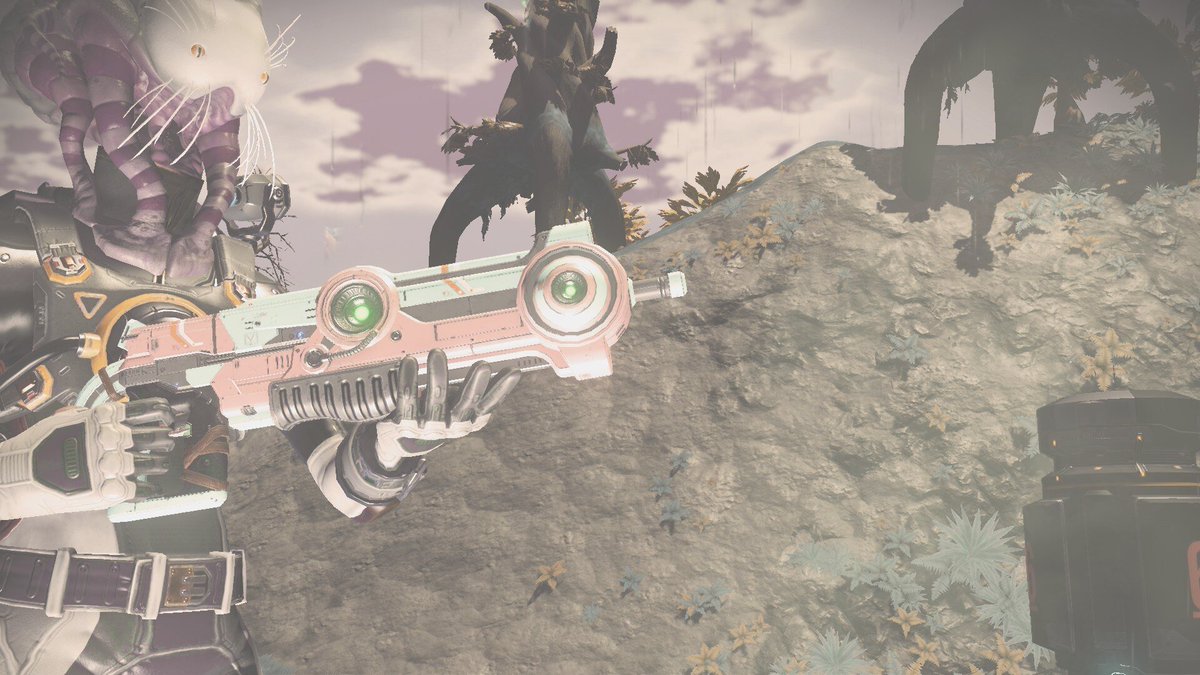 riftwalker_nox's tweet photo. Locked and loaded #MondayMadness #NoMansSky #NMSWeapons @marty_merrick @BadMrRictus https://t.co/5gFfxGeiQ3