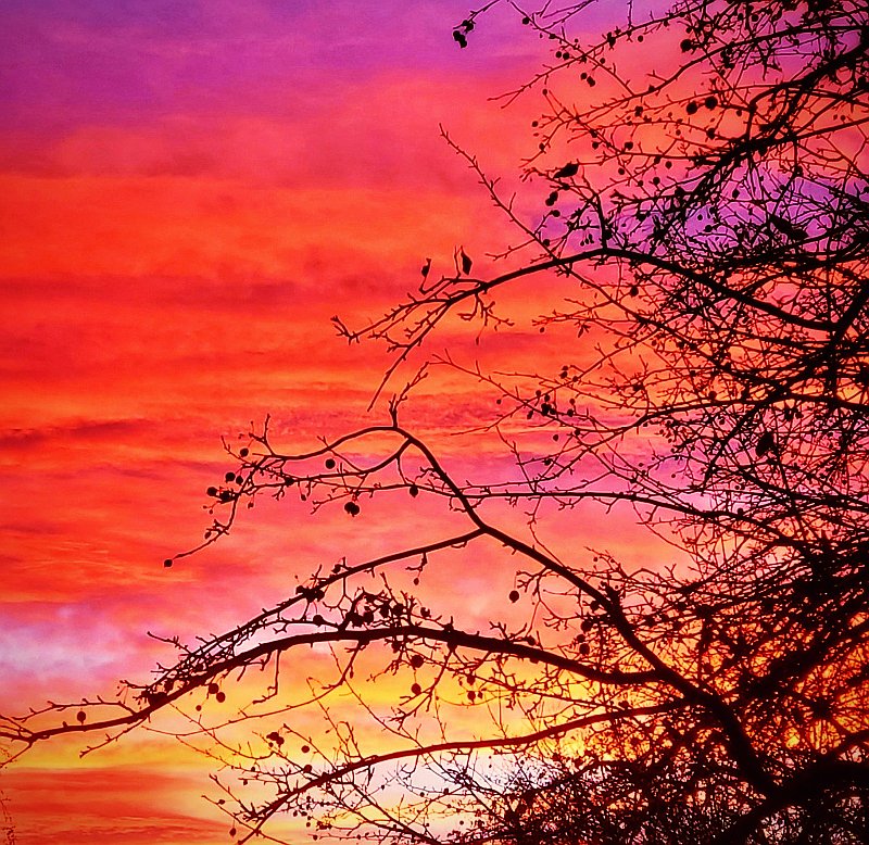 kcowyo's tweet photo. Sunset is my favorite color.
#LanderWY https://t.co/DK7ENkcvnJ