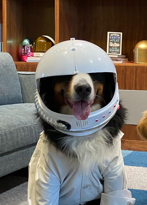 Bunsen is a pupstronaut