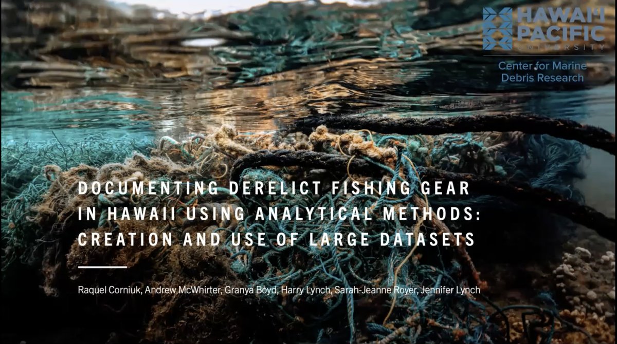 Center for Marine Debris Research tweet media