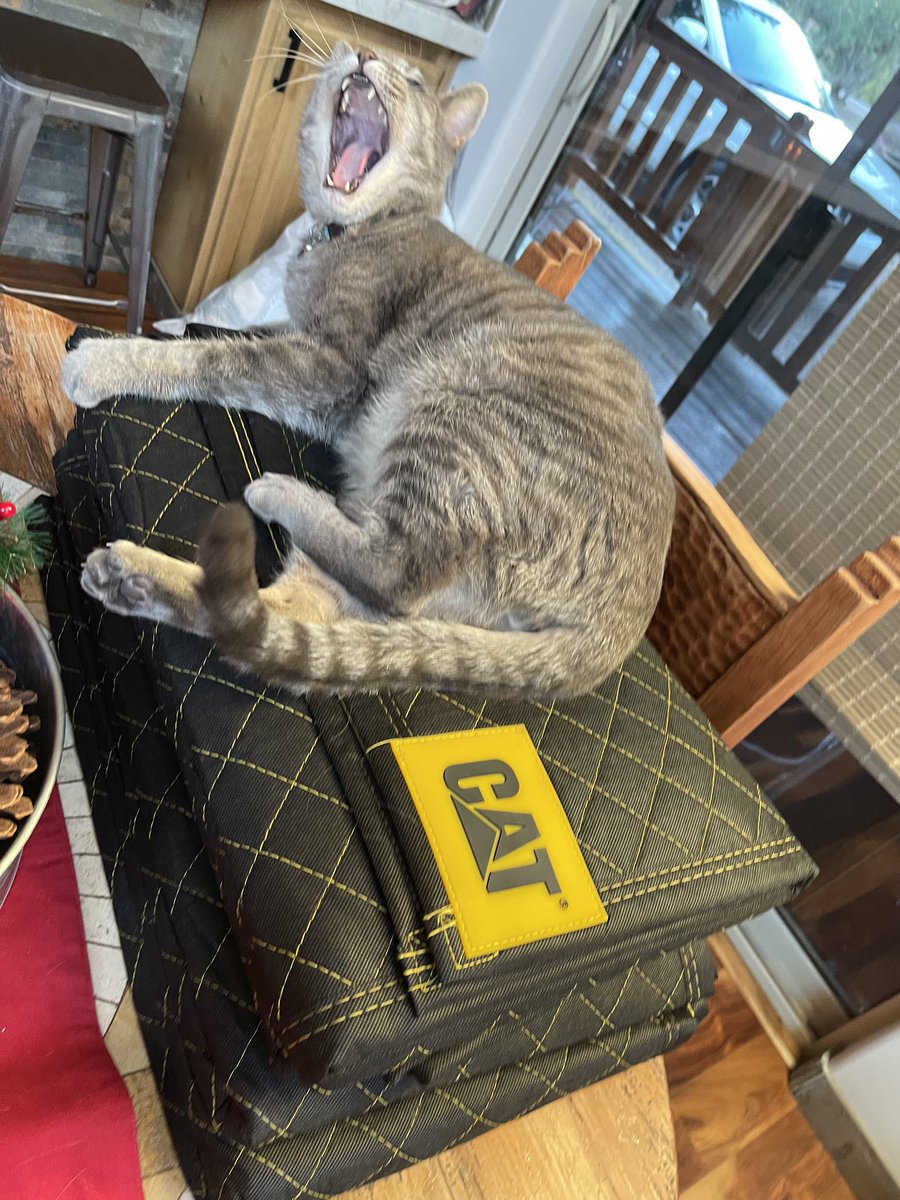 MConnerAZ's tweet photo. Cooper thinking my new @Caterpillar moving blankets are his new bed. https://t.co/QMnWFUvMZE