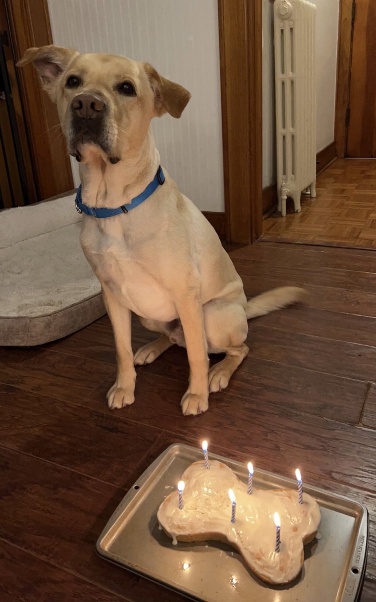 CalvertE's tweet photo. HAPPY BIRTHDAY TO MY BIG BOY https://t.co/hqyCKEVKNi