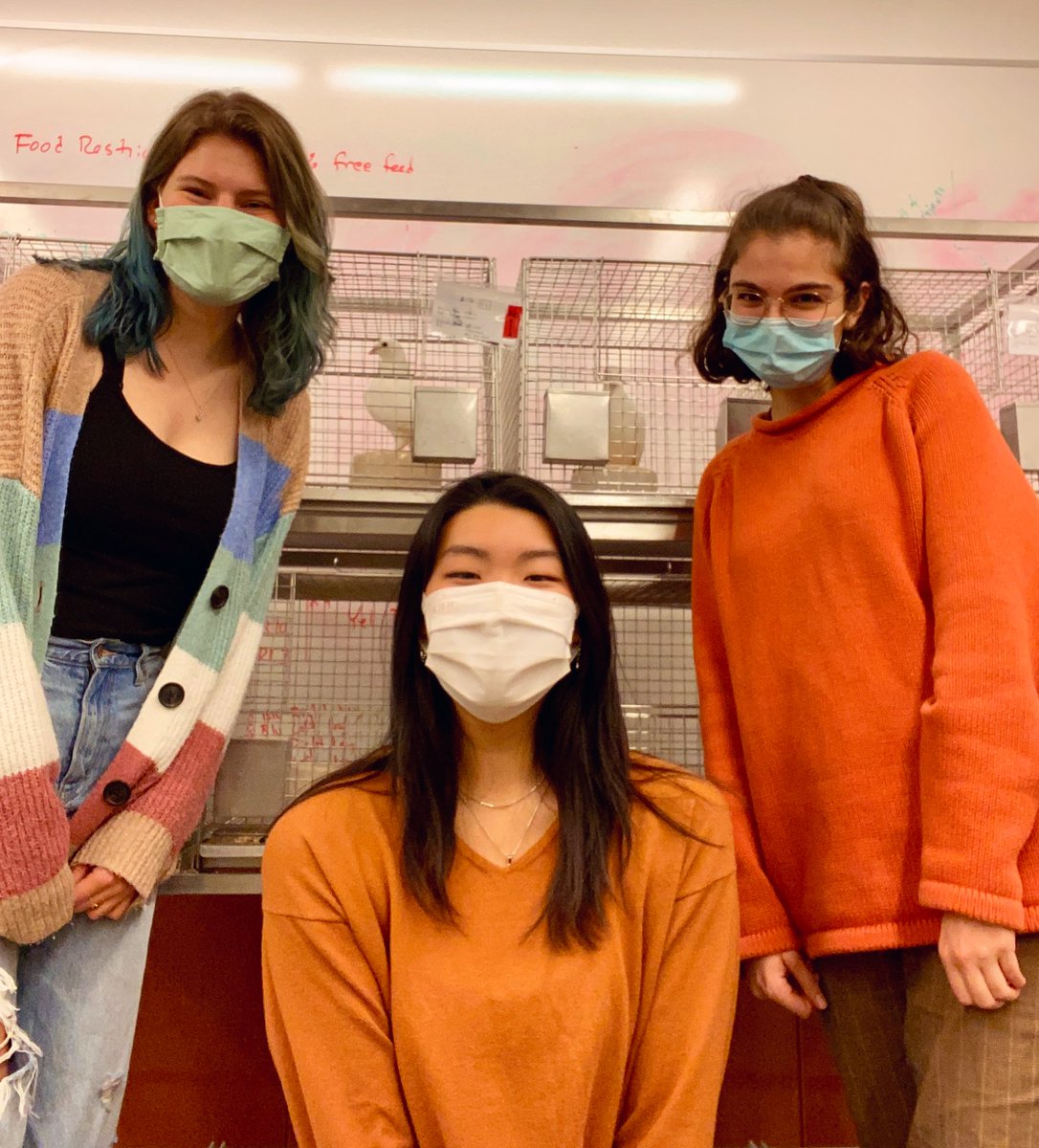 Vassar Psych (@psychvassar) on Twitter photo Seniors Hannah Maver, Formosa Huang, and Samantha Dorf are working with Prof. <a href="/JMCleaveland/">Mark Cleaveland</a> on their thesis: The Rhythms of Responding.
We look forward to seeing their work on proprioceptive cues in associative learning! Seniors Hannah Maver, Formosa Huang, and Samantha Dorf are working with Prof. <a href="/JMCleaveland/">Mark Cleaveland</a> on their thesis: The Rhythms of Responding.
We look forward to seeing their work on proprioceptive cues in associative learning!