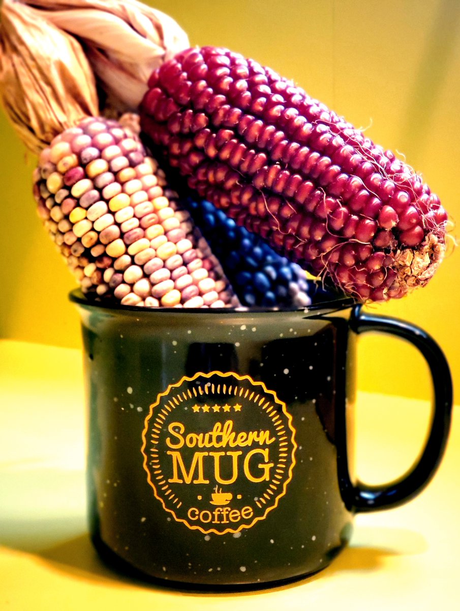 SouthernMug's tweet photo. 10 Day THANKSGIVING Countdown...  ⁠
⁠
Order now and guarantee your Coffee Pot is full of the best-tasting roasts your guests are sure to applaud this Holiday season.      https://t.co/3sKjIo3PWX⁠
⁠
#coffeethatfeedsthesoul ⁠
⁠ https://t.co/AIwvE0Yf9P