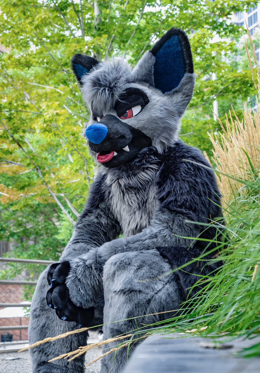 RookaRoo tweet media