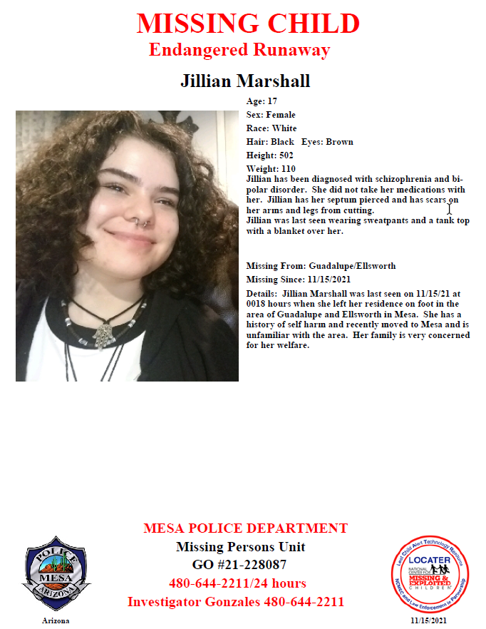 Mesa Police Dept. tweet media