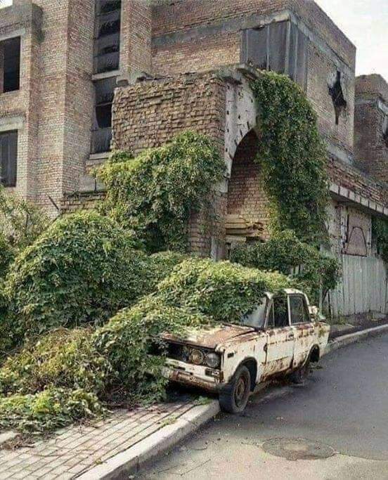 One day nature will be dominant again on man made stuffs.