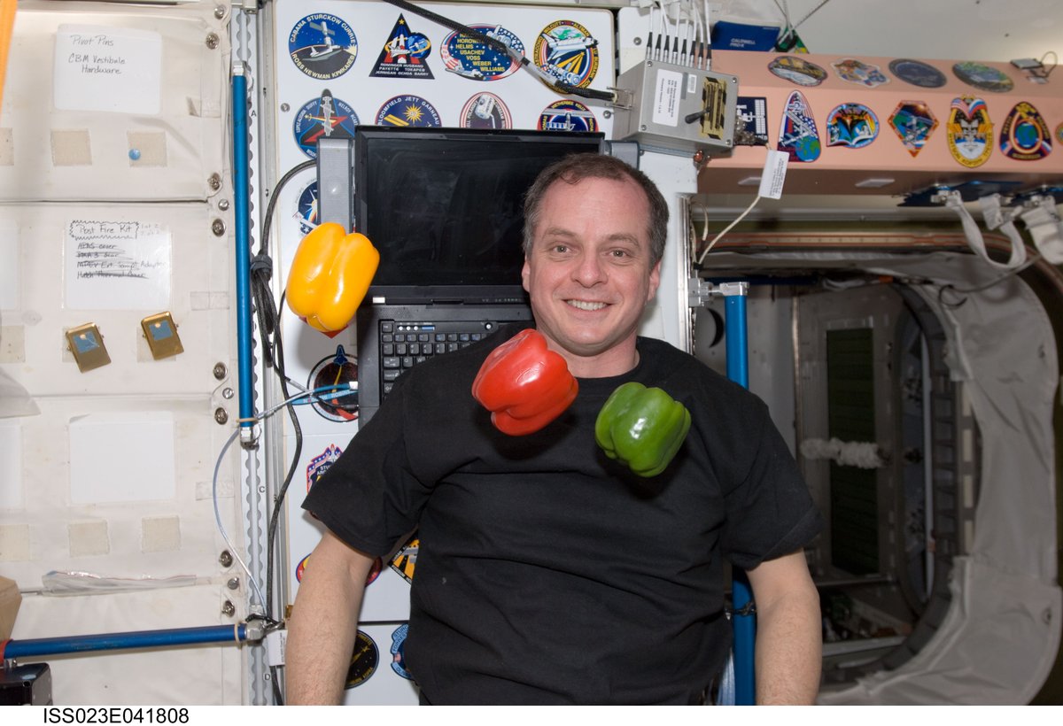 Expedition 23 flight engineer T.J. Creamer poses for a photo with fresh bell peppers in the Unity Node 1 during Expedition 23 / STS-132 joint operations.