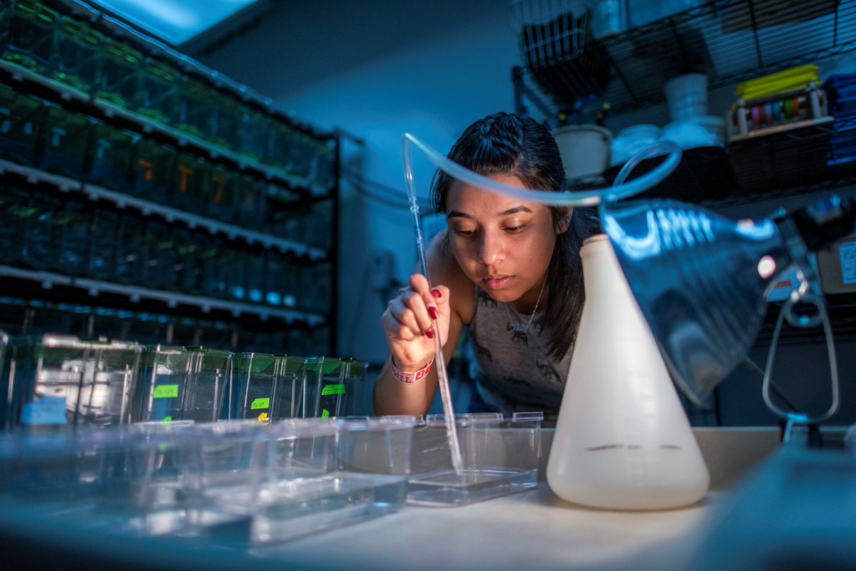 CSU STEM-NET tweet media