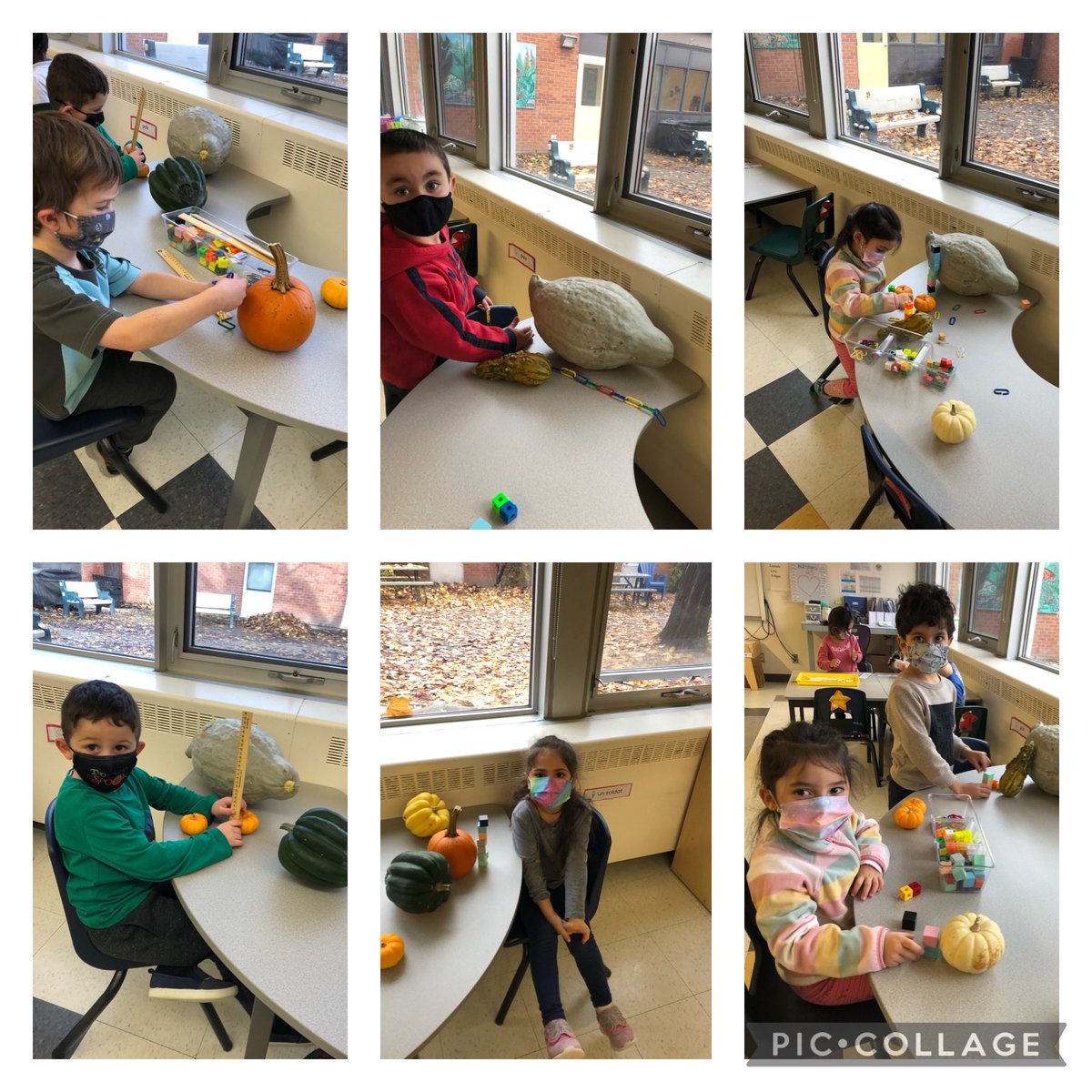 grefrench's tweet photo. This morning, we explored using different measuring tools! 📏📏🎃🍁🍂 @StGregoryOCSB #ocsbKinderMath https://t.co/XlR6VI2W7X