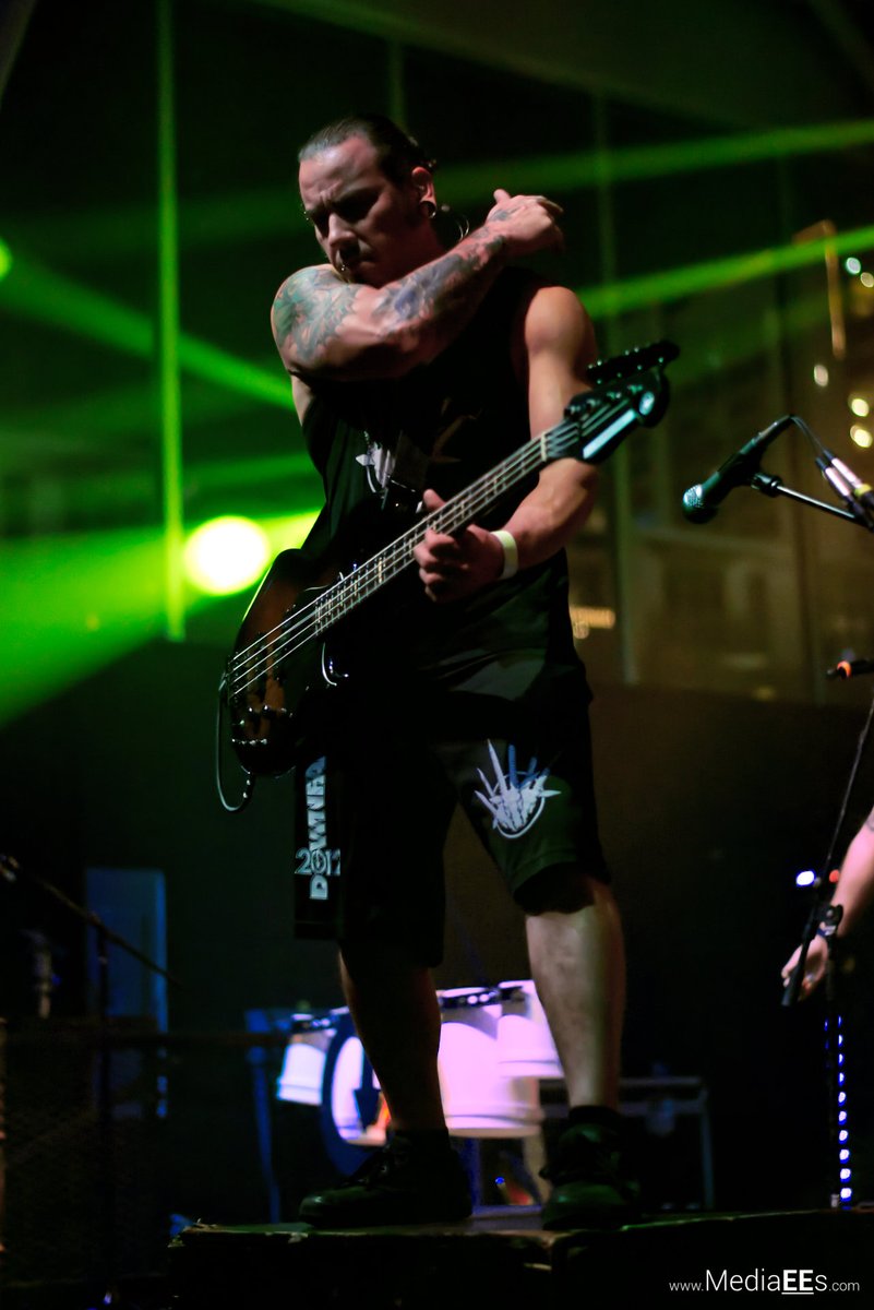 MediaEEs tweet media