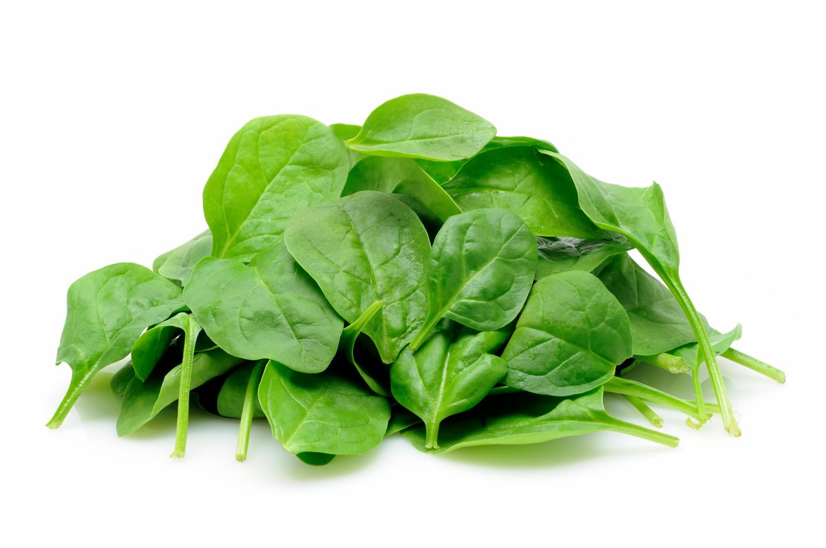 NEW E. COLI OUTBREAK: Do not eat Josie’s Organics prepackaged baby spinach with best-by date of 10/23/2021. This product was sold nationwide.

For more info: bit.ly/3Hn3eYh