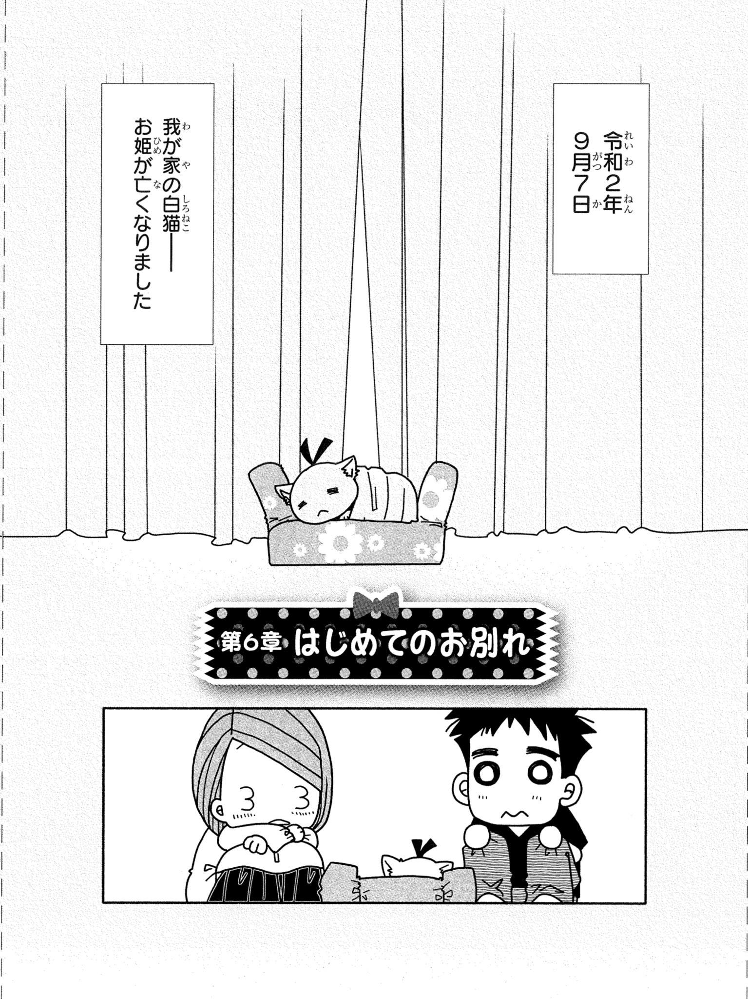 天野こずえ Aquaria2go Twitter