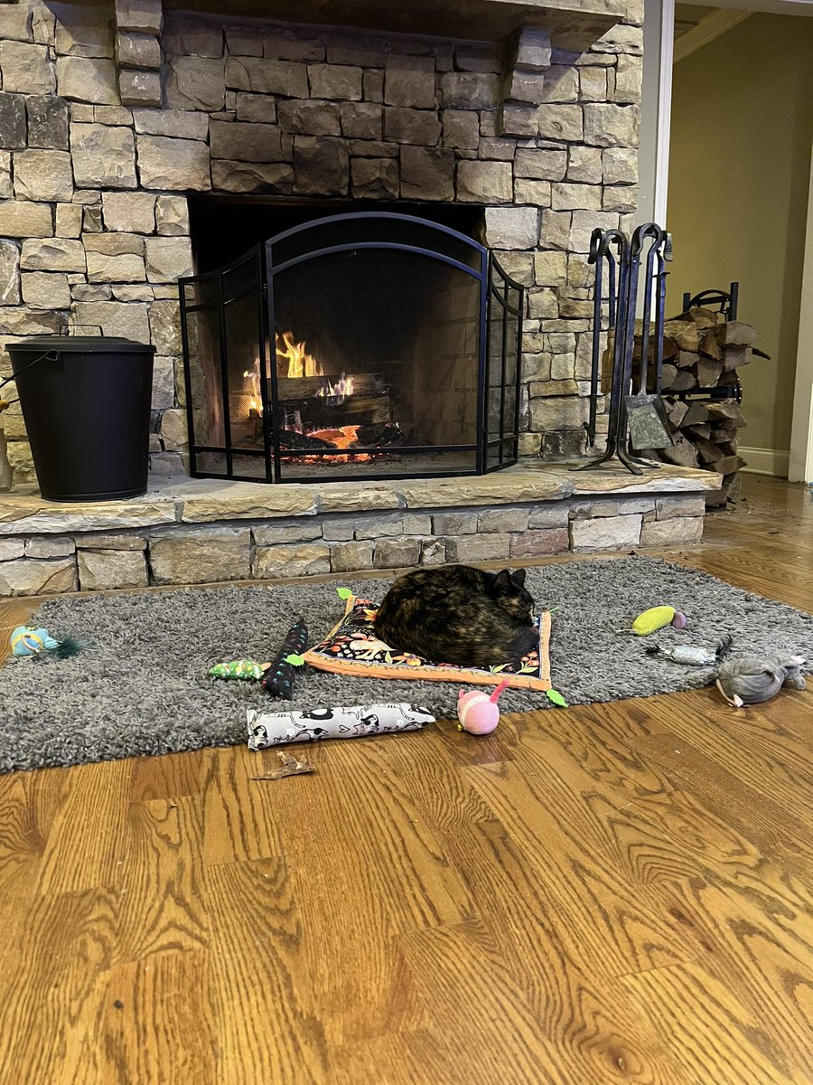 LuckyKittyDog's tweet photo. Happy sis Pepper loves her fireplace https://t.co/Qk0cNy3wZA