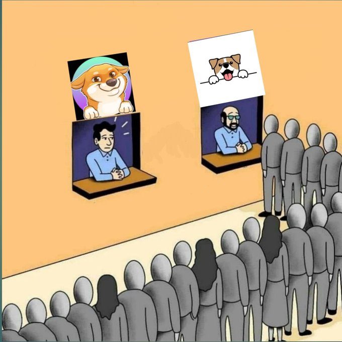 thebabywoof's tweet photo. Gn! Our #SOL community is amazing. Babywoof is really excited with all your love in the discord! If you are a #solanainu hodler, time to think about adopting me!
#Solanaszn #memes #samo #memecoin #SOL $SOL https://t.co/PUaYAZeiBJ