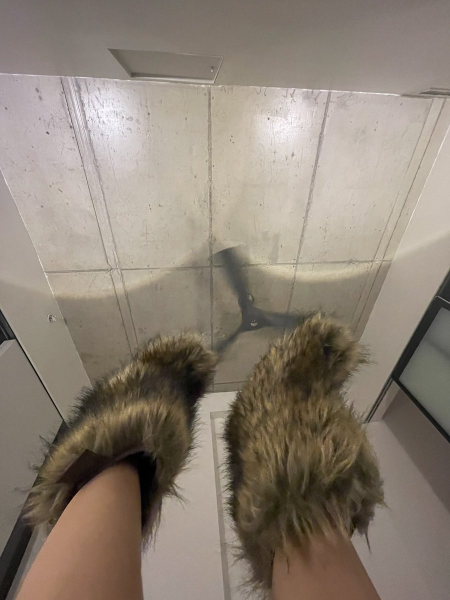 sofia (Slowwfia) Twitter