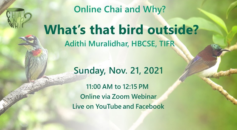 chaiandwhy's tweet photo. Our session on Sun 21/11, 11 AM IST will have @Adithi_M, @HBCSE_TIFR take us through the delightful world of bird watching. How does one figure out what's that bird outside?
Did you know Nov 12 is "birdwatching day"?
On Zoom, YT, FB, Links/info: https://t.co/Bi8Z2UuMdx
#scicomm https://t.co/UGtoP5X3wh