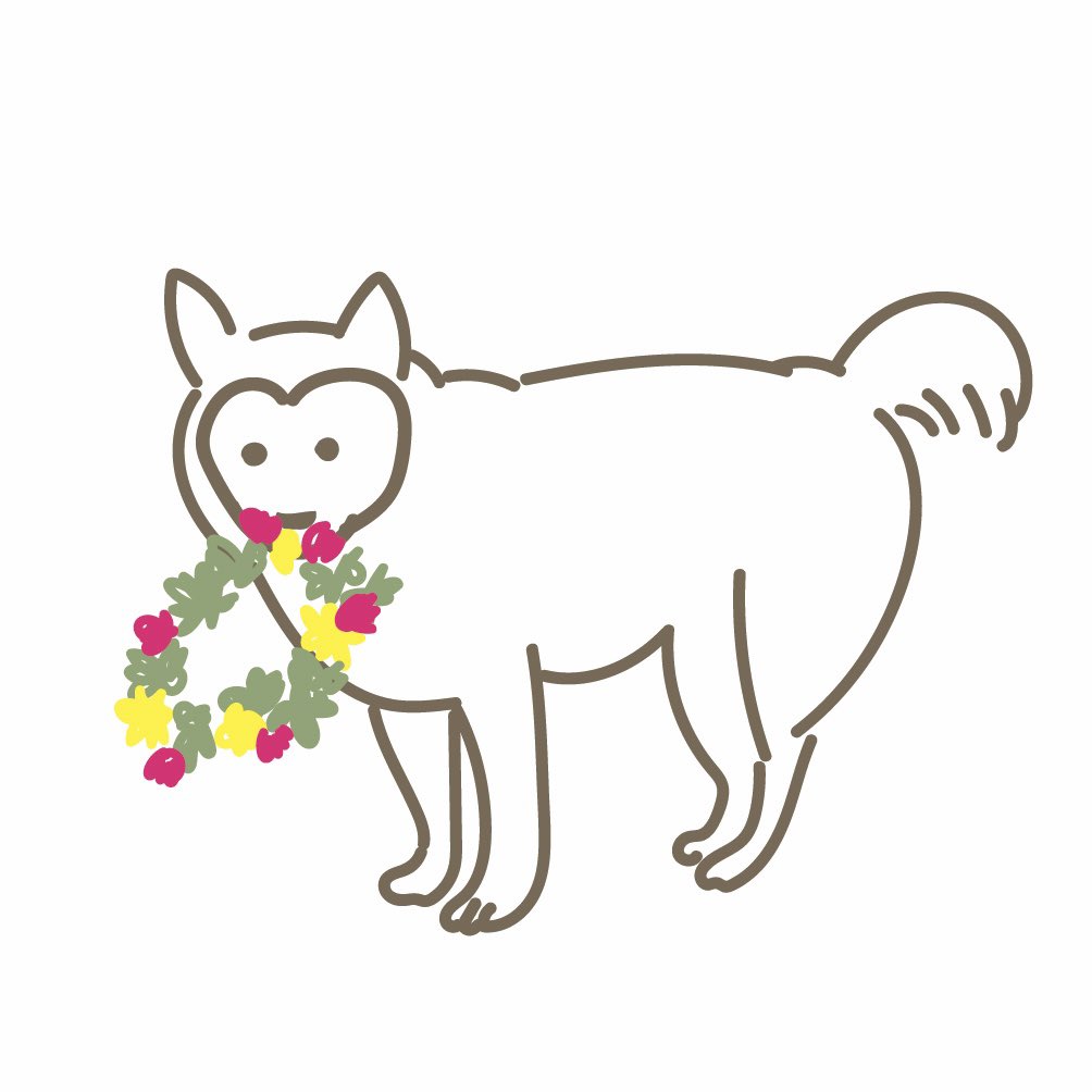 Zkxnm0kv5tofgm Zkxnm0kv5tofgm