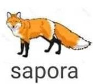 O Tal do King tweet media