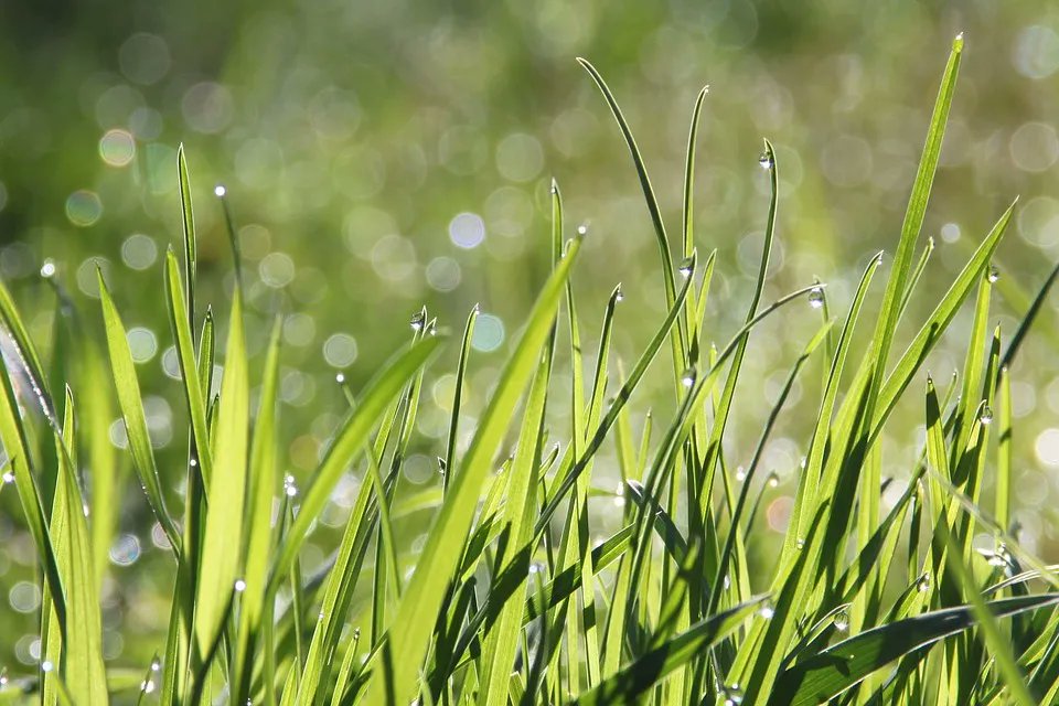 laundrovan's tweet photo. STAINS: Grass- Rub white vinegar, baking soda into the stain and let sit. Then wash in cold water.
#hack #tip #laundrytip
#laundry #laundrovan #washdryfold #pickupanddelivery #washinglaundry #laundryservices #ColoradoSprings #Delivery #pickup #COS https://t.co/oyGeXhl6TV