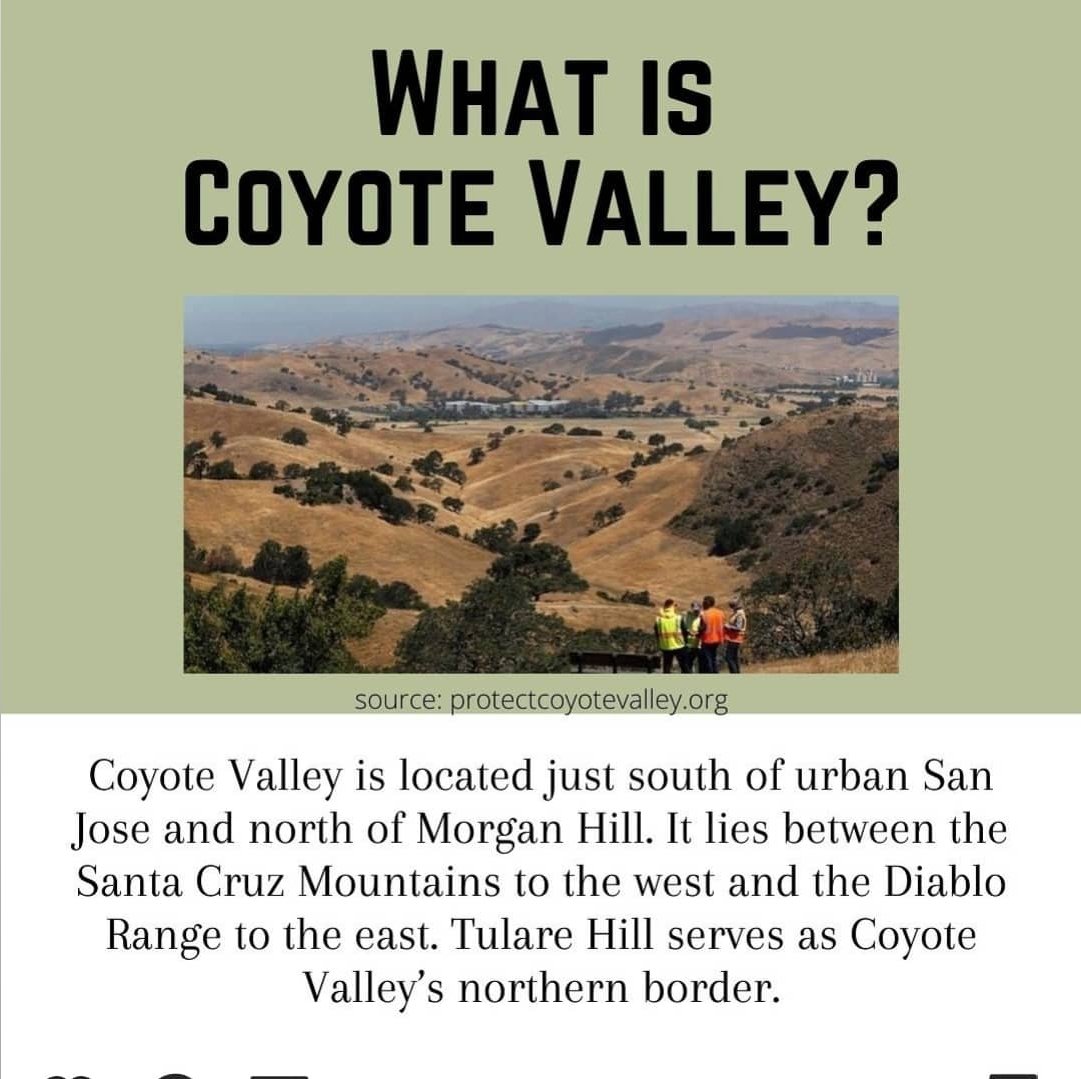 MHProtestGroup's tweet image. Protect the land and animals who inhabit Coyote Valley! Please email San Jose City Council and demand they preserve Coyote Valley as zoning for open space. Go to protectcoyotevalley.org/amazon-style-w… for more information and for an email template!