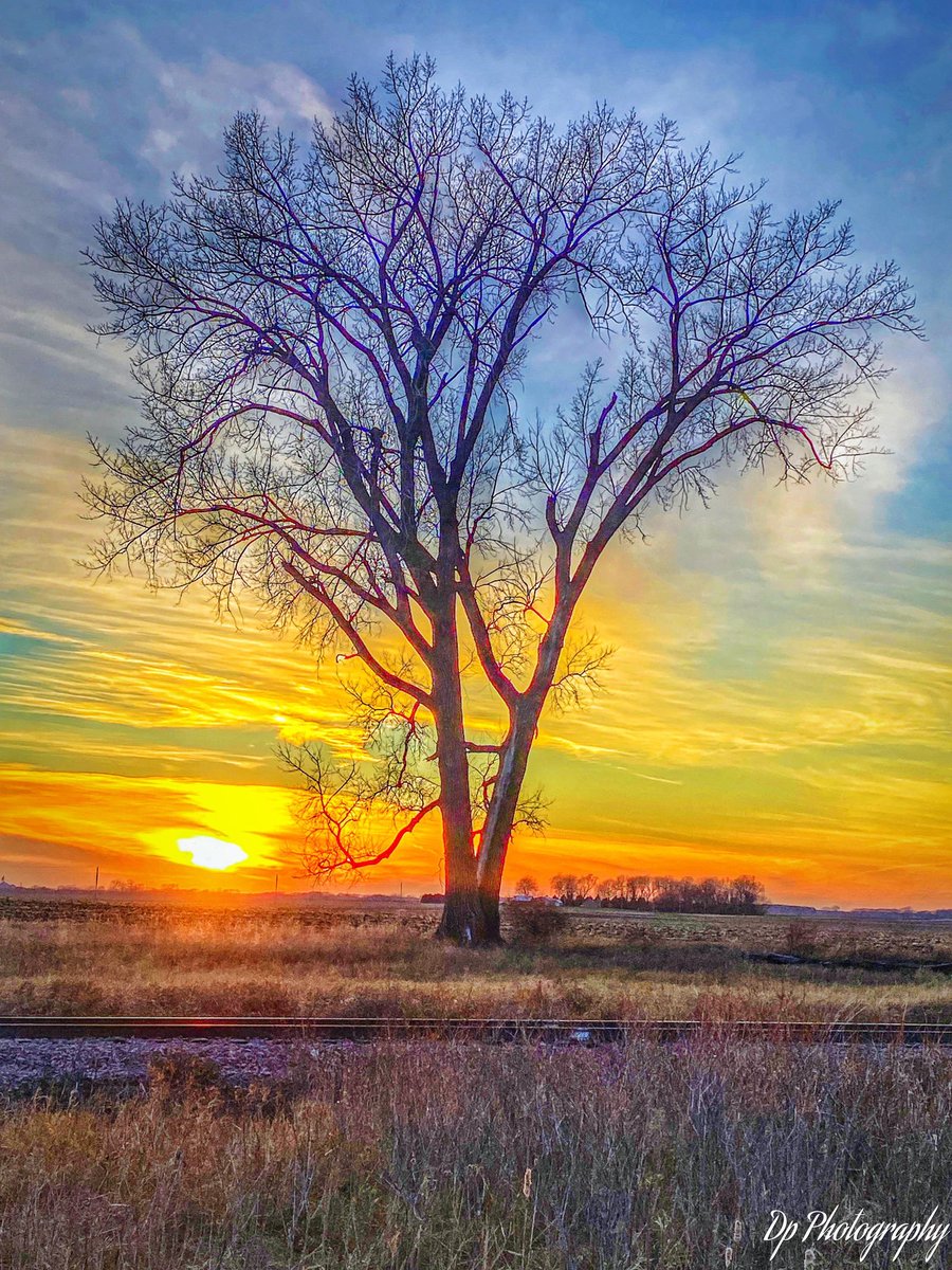 mark_tarello's tweet photo. WOW! Amazing sunset seen tonight from Wells, Minnesota. Photo courtesy of David Paal. #Sunset #MNwx https://t.co/kkv9xCt39C