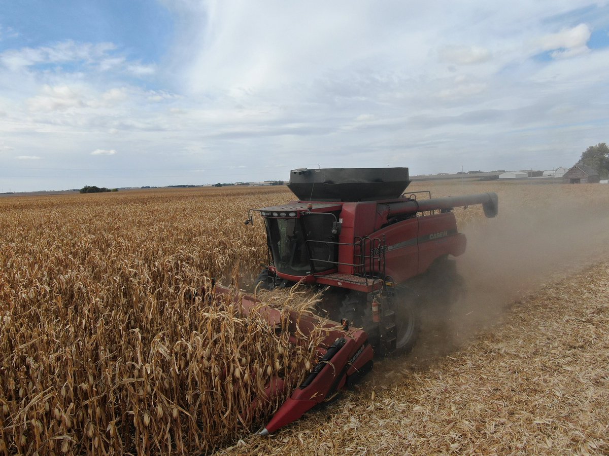 farminmostly's tweet image. 2011-7088 For sale $120k.  Pro 600 monitor, manual fold Mauer grain extension. 520/85R42 Duals. 2 speed feeder house, rock trap,through dealer shop every year.