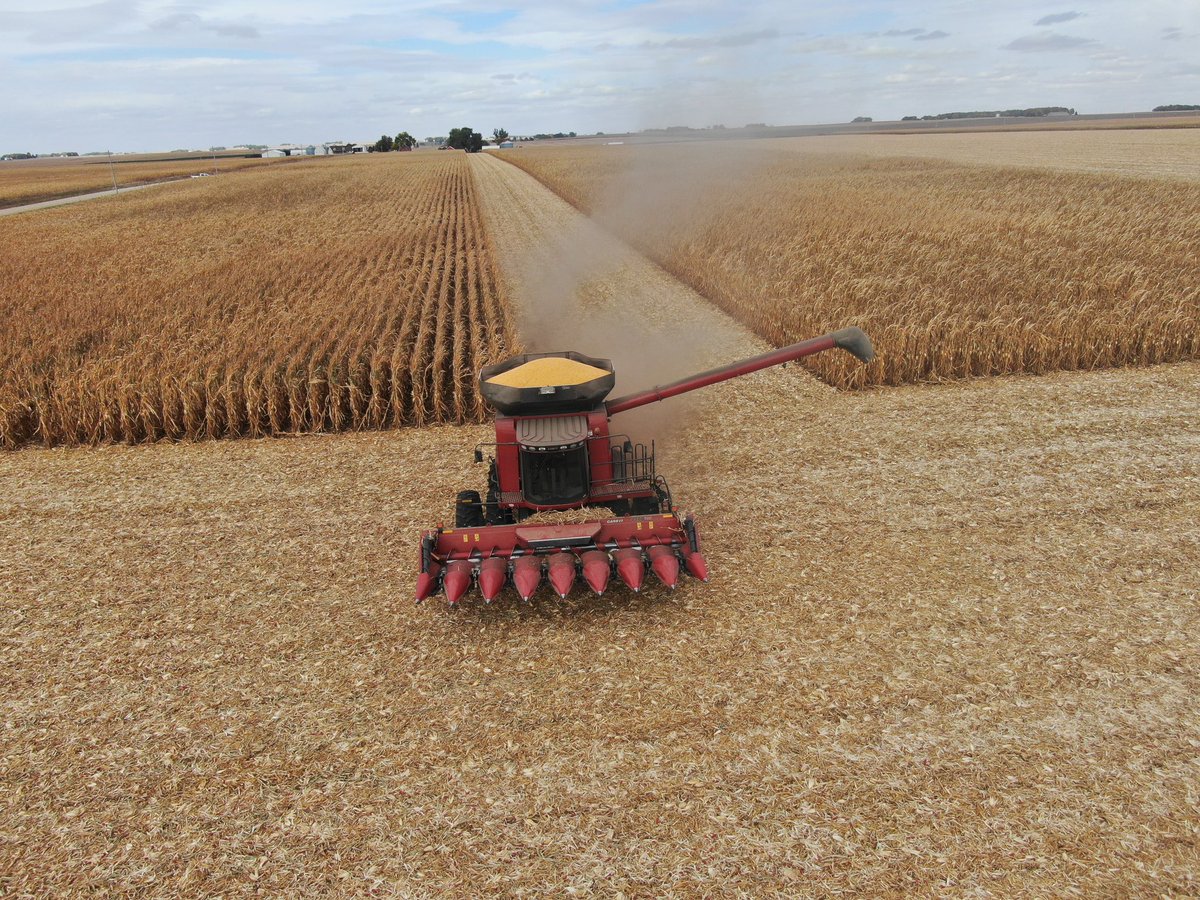 farminmostly's tweet image. 2011-7088 For sale $120k.  Pro 600 monitor, manual fold Mauer grain extension. 520/85R42 Duals. 2 speed feeder house, rock trap,through dealer shop every year.