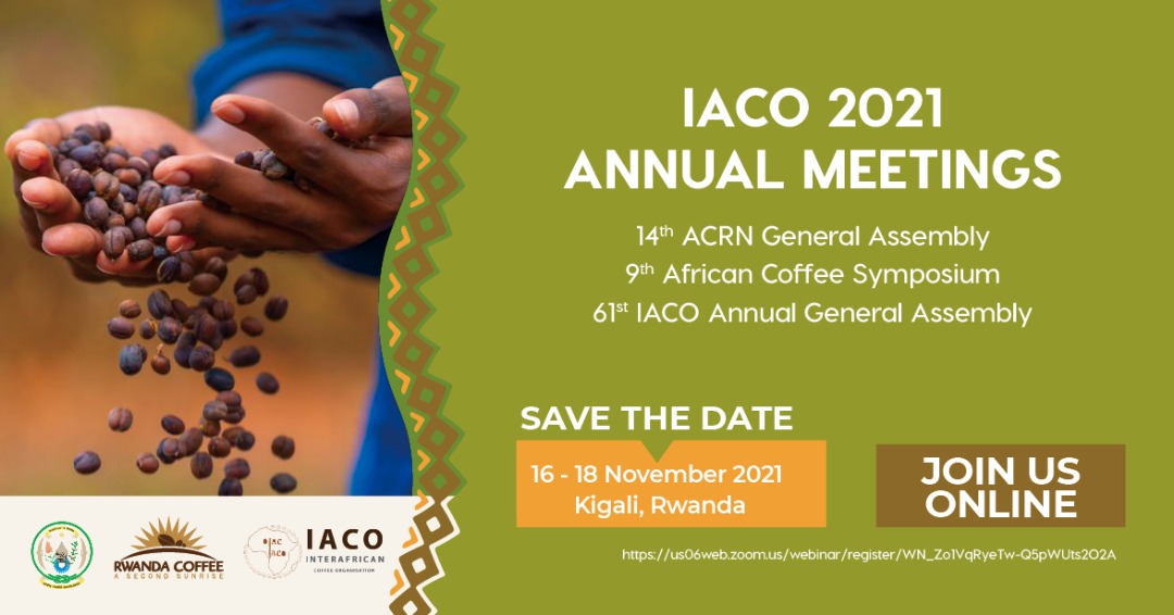 Rwanda_Coffee's tweet photo. We are set! Join us from 9am for the official opening of the #IACO (@coffee_partners) annual meetings. Join us for the 61st General Assembly, the 9th African Coffee Symposium &amp; the 14th African Coffee Research Network General Assembly. @RwandAgriExport  #AfricaCoffeeMeet2021 https://t.co/akPzZKXrbt
