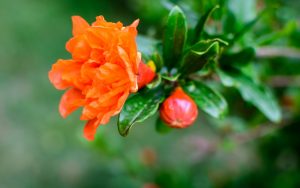 MeNutroo's tweet photo. What Is The History Of ...
https://t.co/617tJz6x3l

#BackyardGardenIdeas #BackyardGardening #BackyardOrchard #BestGardenSoil #Gardening https://t.co/IVcQDwYuif