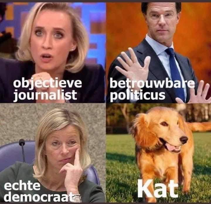 🌸Simone Juffermans tweet media