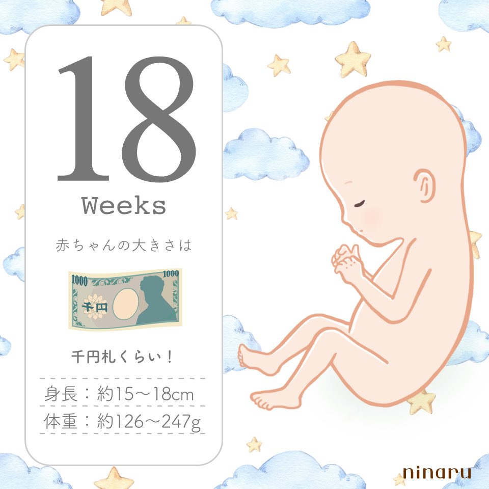 nujustan's tweet photo. なんか胎動なのかな？
お腹の中で動いてる感じ💦

今日は職場で今後の話をしてきた
12月末まで現場と決まった。
妊婦になったら何ヶ月まで介護できるんだろう

#妊娠5ヶ月 #訪問介護 https://t.co/XCXlQqHflo