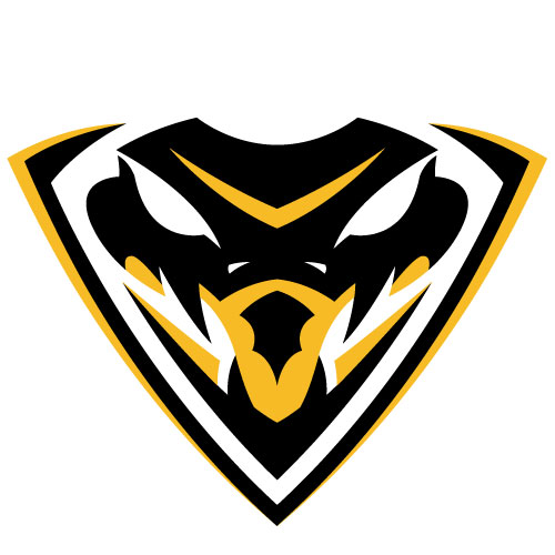 TeamViper_R6's tweet photo. 새로운 로고가 완성되었습니다! 조금 더 단순화 시키는 것을 목표로 제작했습니다. 로고와 함께 새로워진 바이퍼, 많이 응원해주시기 바랍니다! https://t.co/6TNFLNDjLD