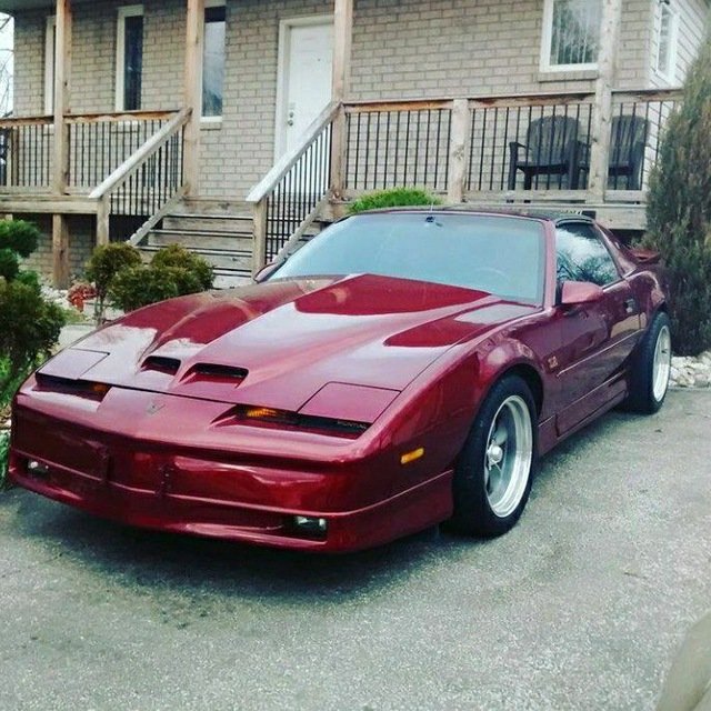 TheCryptoMoe's tweet photo. @TeslaCharging @elonmusk All electric old school muscle. Who will do it first? @tesla @Ford @LucidMotors
#sgecoin #electric #blockchain #cryptotrading #tesla #pontiac #muscle #ElectricVehicles #oldschool #gtaws6 #transam #firebird #nftart #nft #design #tech #finance #invest #money #usdt #dao #starseas https://t.co/kH6A9dhtCP