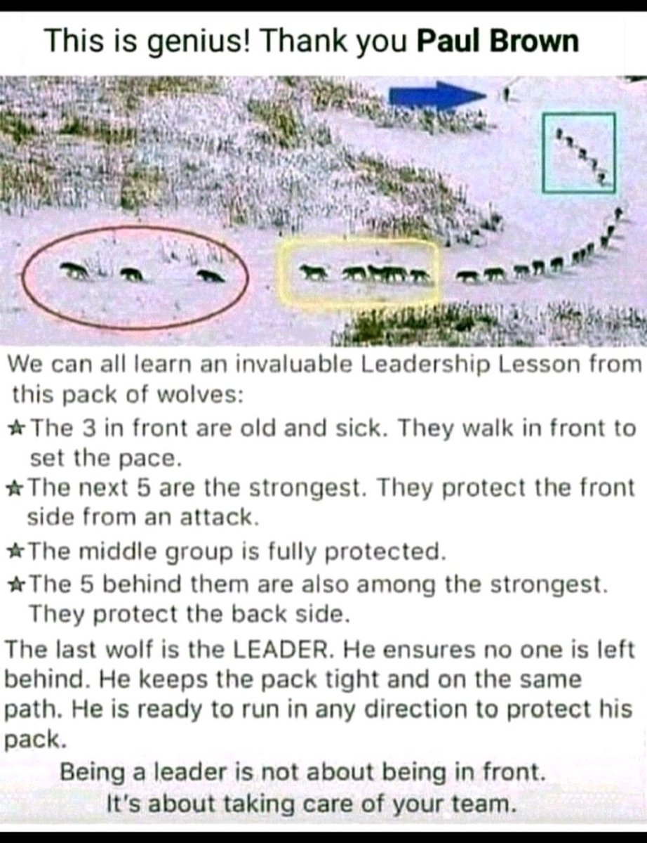 twitme_kishan's tweet photo. #tuesdaymotivations #thoughtoftheday #LeadershipMatters https://t.co/wLowfzXJBy