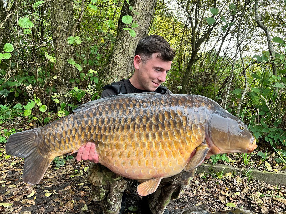 soniksports's tweet photo. Guy Warwick, son of our very own Frank Warwick holds aloft a new PB of 35lb 8oz and then only goes and smashes his PB in the same session with a stunner at 38lb on the nose...top angling from all at Sonik Guy!
#Gravityxfw #Subsonik #Tournos #AVX #AXS #Carpfishingadventure https://t.co/JnVbkRbums