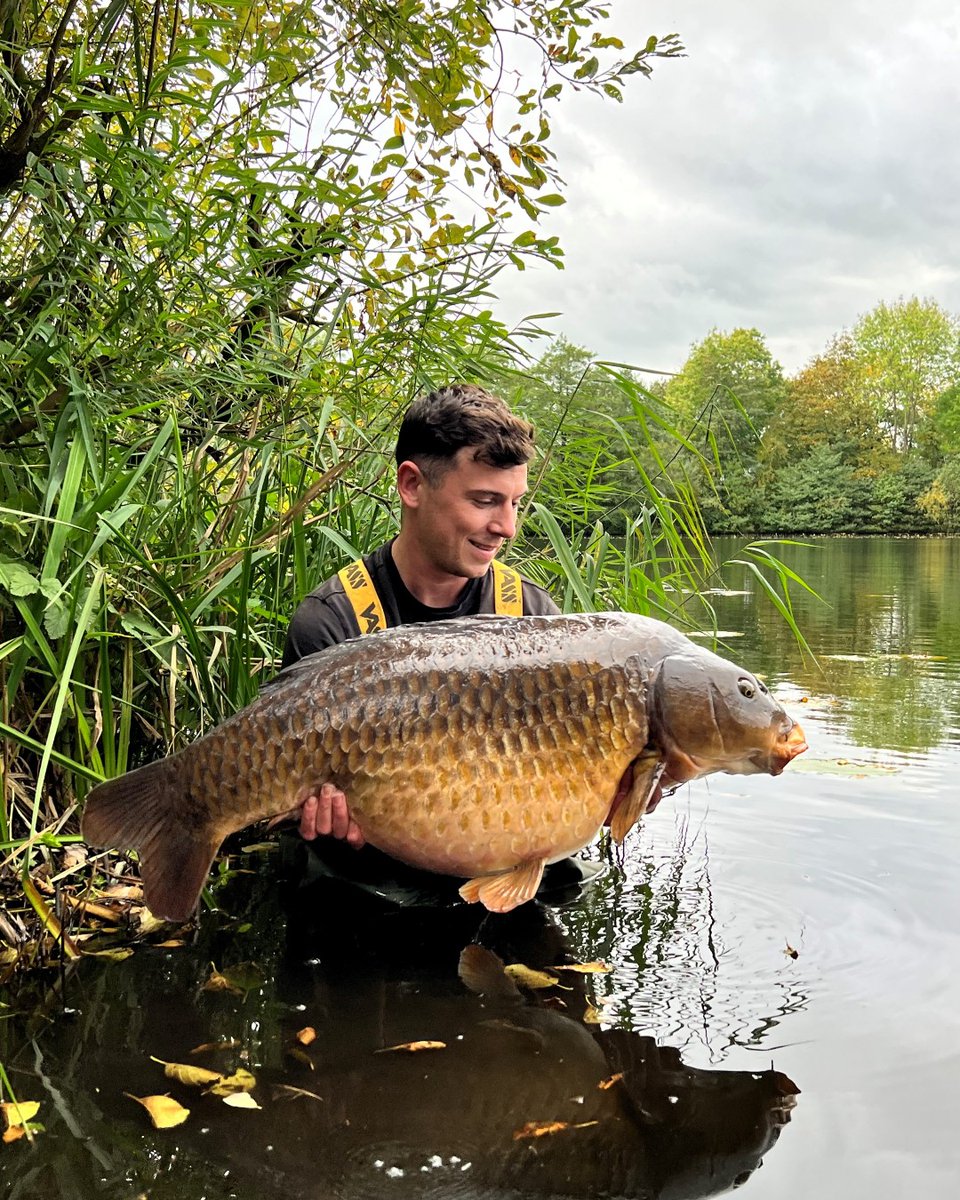soniksports's tweet photo. Guy Warwick, son of our very own Frank Warwick holds aloft a new PB of 35lb 8oz and then only goes and smashes his PB in the same session with a stunner at 38lb on the nose...top angling from all at Sonik Guy!
#Gravityxfw #Subsonik #Tournos #AVX #AXS #Carpfishingadventure https://t.co/JnVbkRbums