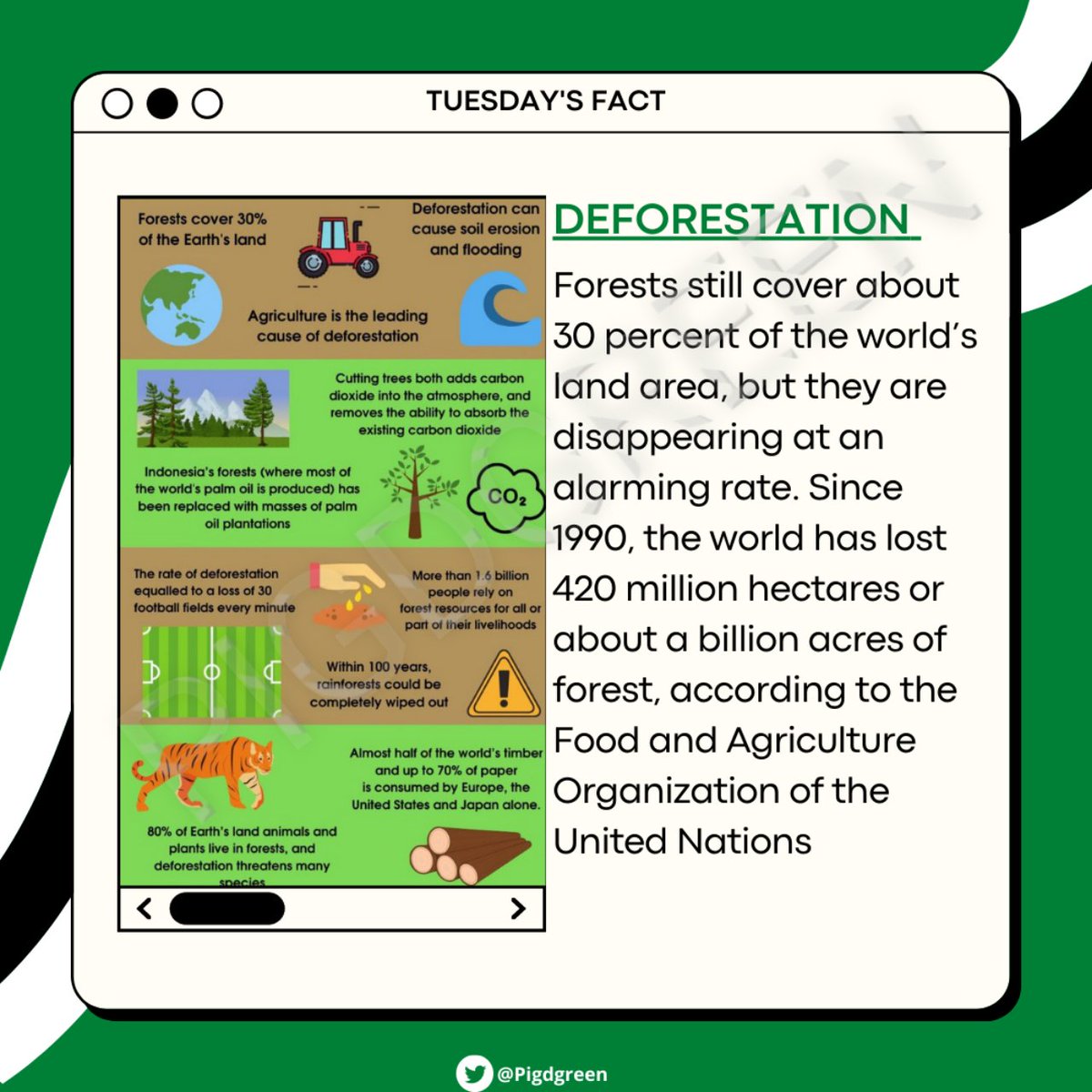 Pigdgreen's tweet image. #Tuesdayfact
#pigd
#ClimateActionNow 
#deforestation