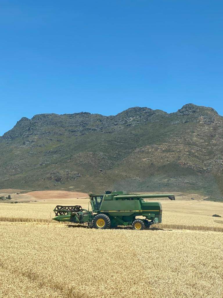 AFGRI1's tweet photo. Die GROOT #GooiKoring bemarkingsveldtog in die Weskaap was ‘n groot sukses. Baie dankie vir elkeen se bydrae in 'n suksesvolle inisiatief in vele opsigte. Ons het ‘n totaal van 19 837, 73 ton ingeneem oor die 3 dae (11-13 November).
#AFGRI #GrainManagement #Koring https://t.co/rk4mafXecS