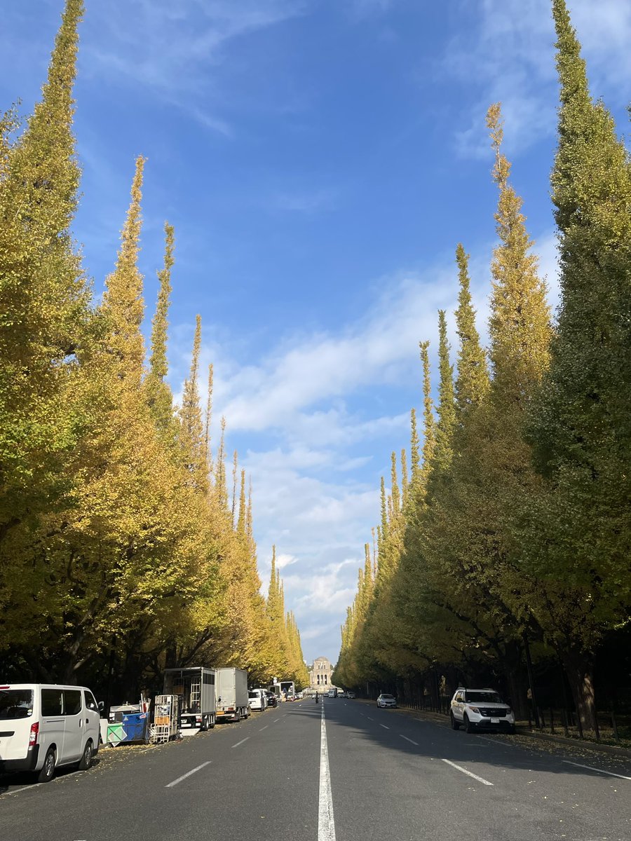 puffchum's tweet photo. 路は結構黄色い絨毯になってるんだけどね、でも上を見上げると緑もそれな��にまだ残ってる。

週末は混むよー。
平日がオススメ。

#紅葉 #秋 https://t.co/yJKZihNGcd
