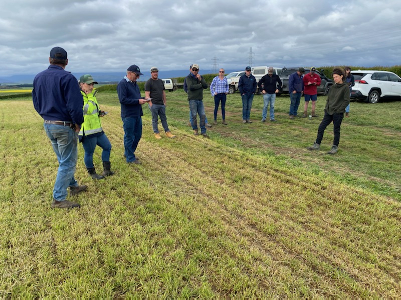 UMSeeds's tweet photo. The UMS Tassie team had a great time at the recent #TSIG Field Day. The event was held at multiple locations around Cressy, including the UMS Cressy Research Station &amp; covered a range of topics including #silage, #grazing &amp; #mowing. Thanks to TSIG for organising the event! #ausag https://t.co/u66VW3TmmT