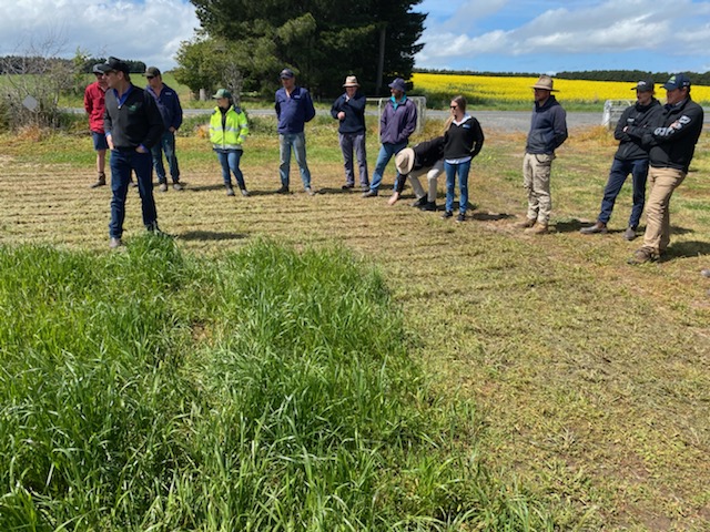 UMSeeds's tweet photo. The UMS Tassie team had a great time at the recent #TSIG Field Day. The event was held at multiple locations around Cressy, including the UMS Cressy Research Station &amp; covered a range of topics including #silage, #grazing &amp; #mowing. Thanks to TSIG for organising the event! #ausag https://t.co/u66VW3TmmT