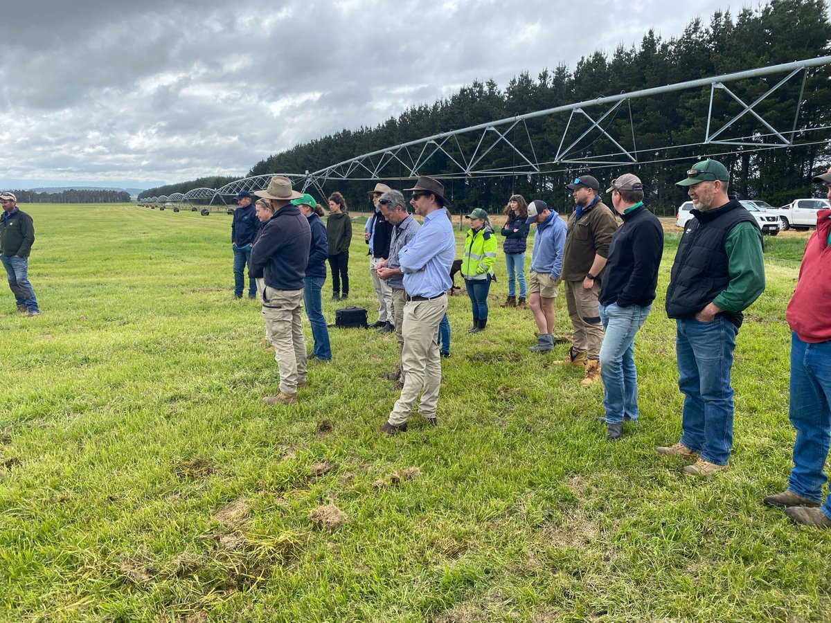 UMSeeds's tweet photo. The UMS Tassie team had a great time at the recent #TSIG Field Day. The event was held at multiple locations around Cressy, including the UMS Cressy Research Station &amp; covered a range of topics including #silage, #grazing &amp; #mowing. Thanks to TSIG for organising the event! #ausag https://t.co/u66VW3TmmT