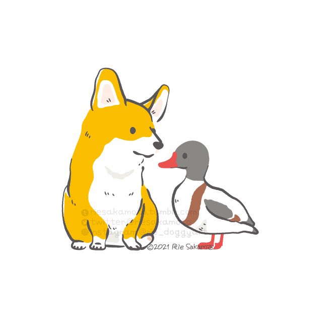 「鳥 柴犬」のTwitter画像/イラスト(新着)｜3ページ目